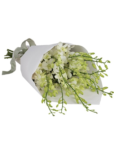 Orchid Surprise Flower Arrangement