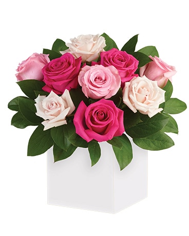 Blushing Roses Flower Arrangement